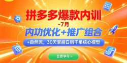拼多多爆款内训-7月 内功优化+推广组合+自然流 30天掌握日销千单核心模型