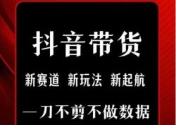 抖音短视频一刀不剪带货，不剪辑，不直播，每天发个视频，等着出单获取带货佣金