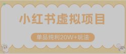 小红书卖虚拟产品，单品纯利20W+玩法分享（节系列课程）