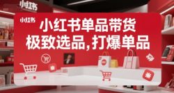 小红书单品带货，极致选品，打爆单品