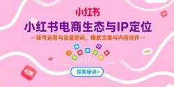 小红书电商生态与IP定位，账号运营与流量密码，爆款文案与内容创作