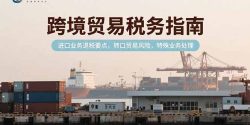 跨境贸易税务指南，进口业务退税要点，转口贸易风险，特殊业务处理