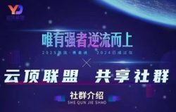 云顶联盟·无人直播实战(更新7月)