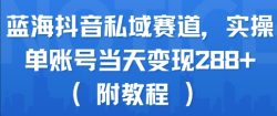 蓝海抖音私域赛道，实操单账号当天变现288+(附教程)