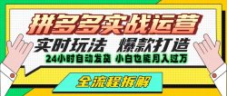拼多多最新实战运营高投产：长久稳定项目，单店利润一天三位数