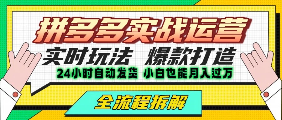 拼多多最新实战运营高投产:长久稳定项目,单店利润一天三位数插图 拼多多最新实战运营高投产:长久稳定项目,单店利润一天三位数