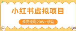 小红书卖虚拟产品，单品纯利20W+玩法分享，4节系列课程