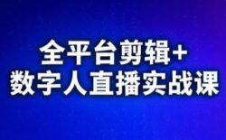 视频号、快手、抖音全平台剪辑+数字人直播实战课(更新6月)​