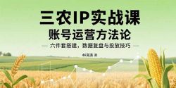 三农IP实战课：账号运营方法论，六件套搭建，数据复盘与投放技巧