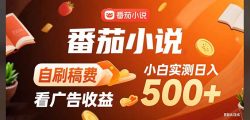 稳定3年官方番茄小说自刷稿费小白单日500+