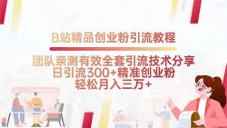 B站精品创业粉引流教程，团队亲测有效全套引流技术分享，日引流300+精…