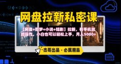《网盘拉新私密课》第三期躺挣玩法，【网盘+即梦+小说+短剧】拉新，有手机就能操作，月入5k