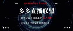 多多直播联盟 全新玩法 单机单日变现300+不要求电脑配置 玩法简单暴力