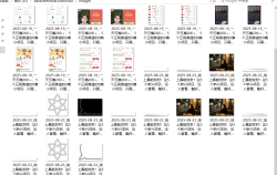 『高端精品』最新公主号无水印下载工具，图片 视频 音频 无脑小白一键下载