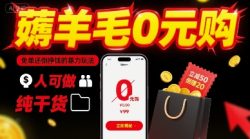 薅羊毛0元购，免单还倒挣钱的暴力玩法，人人可做，纯干货