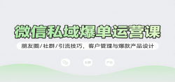 微信私域爆单运营课：朋友圈/社群/引流技巧，客户管理与爆款产品设计