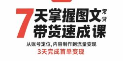 7天掌握图文带货速成课：从账号定位,内容制作到流量变现,3天完成首单变现