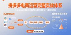 拼多多电商运营完整实战体系，从选品上架到稳定盈利完整商业闭环(更新8月