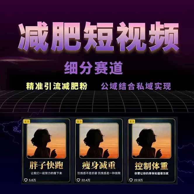 减肥短视频赛道运营课:素材准备-视频制作-引流变现全流程 (附素材插图1 减肥短视频赛道运营课:素材准备-视频制作-引流变现全流程 (附素材