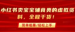 小红书卖宝宝辅食类的虚拟资料，从引流到私域变现，全程干货，简单粗暴，轻松上手