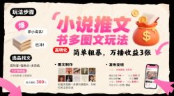 小说推文小红书多图文玩法，简单粗暴，万播收益3张