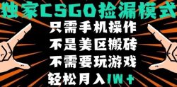 CSGO自动捡漏项目，最新独家玩法，不是美区搬砖，不需要了解和玩游戏，新手小白轻松月入1W+【揭秘】