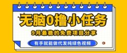 0学费0风险，2025风口项目，无脑免费撸，代发纯绿色视频，一部手机人人可做【揭秘】