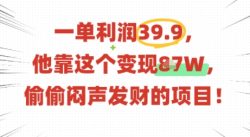 一单利润39.9，有人靠这个变现几十个，偷偷闷声发财的项目