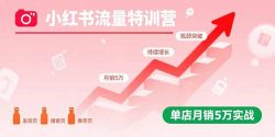 小红书流量特训营：突破流量瓶颈，实现店铺持续增长，单店月销5万实战