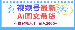 视频号最新AI图文带货，每天几分钟，小白轻松入手，日入2000+