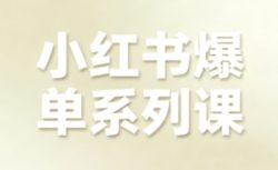 小红书爆单系列课，聚焦小红书电商全链路增长