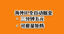 海外ip全自动掘金，2025必做蓝海项目，3分钟落地，矩阵直接开干【揭秘】