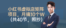 小红书虚拟店矩阵项目，月搞10W(共40节，照抄照做)