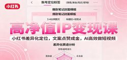 高净值IP变现课:小红书差异化定位,文案点赞成金, AI高效做短视频
