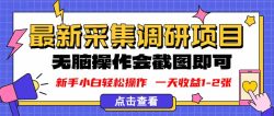 新版采集调研项目，截图上传即可，无脑操作，日收益1-2张