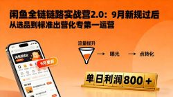 闲鱼变现课3.0：掌握链接优化、流量提升、商业变现，单日利润800+