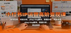 小红书IP运营高阶变现课：账号包装，对标分析，plog/vlog脚本，数据分析，商业接单
