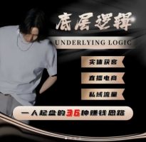 一个人起盘的底层逻辑，私域流量-直播电商-实体获客，一人起盘的36种賺钱思路