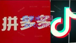 老陶电商·拼多多+抖音小店无货源开店(更新11月)