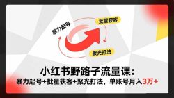 小红书野路子流量课：暴力起号+批量获客+聚光打法，单账号月入3万+