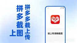 拼西西截图上传  次日结算