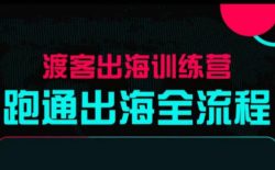 马克渡客出海成长加速训练营(更新)