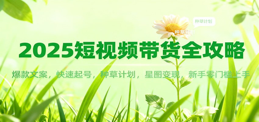 2025短视频带货全攻略：爆款文案，快速起号，种草计划，星图变现，新手零门槛上手