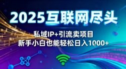 2025网创尽头王炸项目！私域IP+精准引流，新手小白在家躺賺日入1k，零经验也能上手【揭秘】