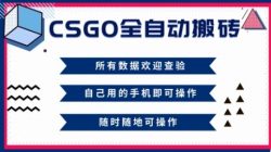 CSGO全自动搬砖，年底钱回家好项目，当天可拿到结果，新手小白轻松月入1W+【揭秘】