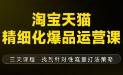 猫课子幽·淘宝天猫精细化爆品运营【音频+字幕+文档】(9月12-14杭州线下课)