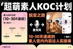 超萌素人KOC计划，10-30天速成的素人变内容达人实操课，适合想做短剧小说推文电商推广的素人入局