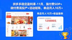 拼多多稳定盈利课-11月，强付费SOP+微付费高投产+活动矩阵，单店月入10万+