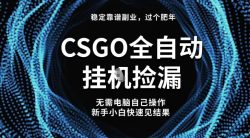 【稳定副业】全球最热门游戏CSGO全自动捡漏，最新玩法，新手小白日入5张+【揭秘】