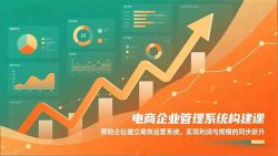 电商企业管理系统构建课：帮助企业建立高效运营系统，实现利润与规模的同步跃升